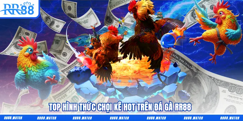 Top hình thức chọi kê hot trên Đá gà RR88