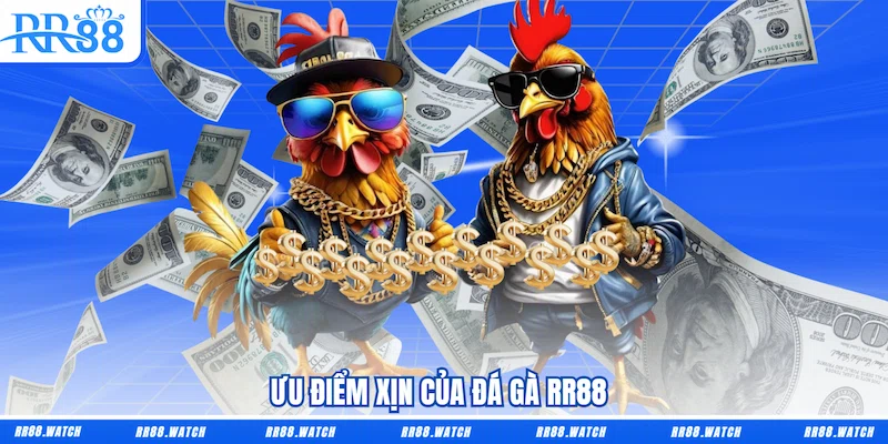 Ưu điểm xịn của Đá gà RR88