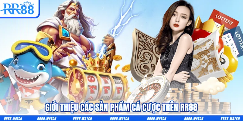 Giới thiệu các sản phẩm cá cược trên RR88